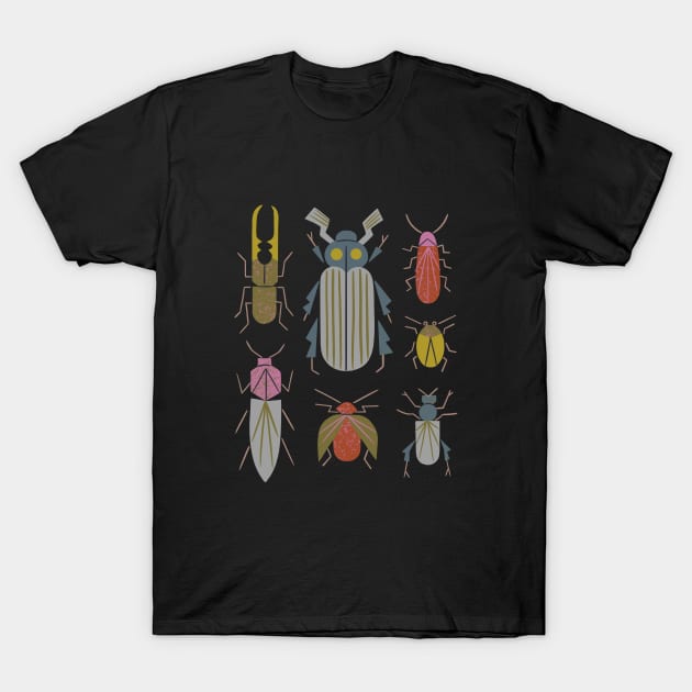 Beetle Specimens T-Shirt by Renea L Thull